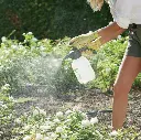 D91909_2.webp