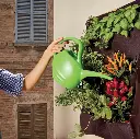 D91946_2.webp