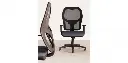 174182_2.webp