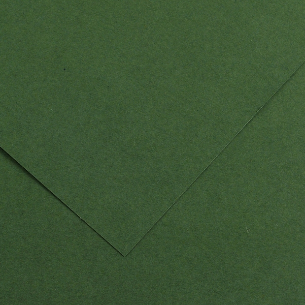 Foglio COLORLINE 70x100 cm 220 gr. 31 Verde abete