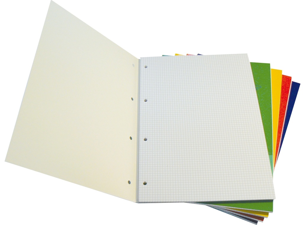 BLOCCO MANAGER ENLIVO A4 4mm Pz 10 (fogli 4 fori)