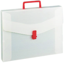 VALIGETTA POLIONDA con MANICO  cm.50x70x3