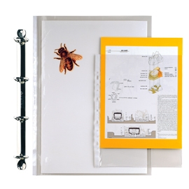 25 BUSTE FORATE 18X24-15 ERCOLE PVC SEI ROTA