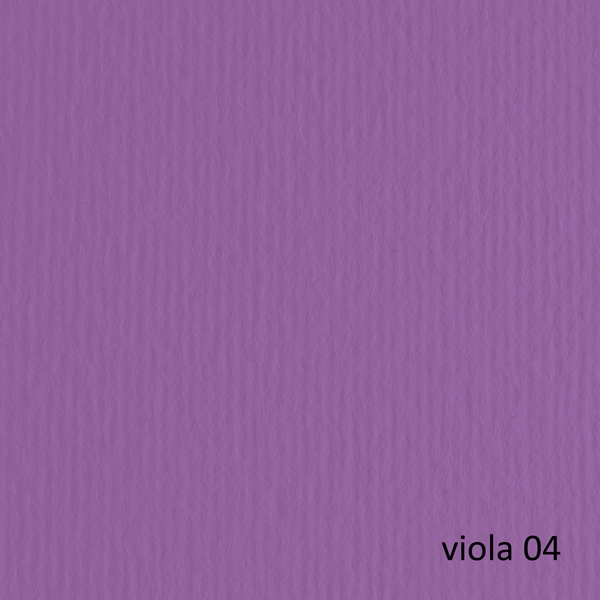 CARTONCINO 50X70 220GR VIOLA 104 FABRIANO ELLE ERRE - BLISTER 20FG
