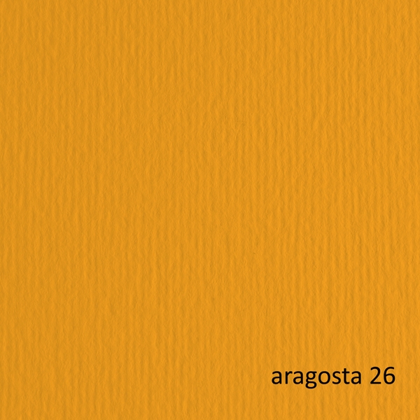 CARTONCINO 50X70 220GR ARAGOSTA 26 FABRIANO ELLE ERRE - BLISTER 20FG