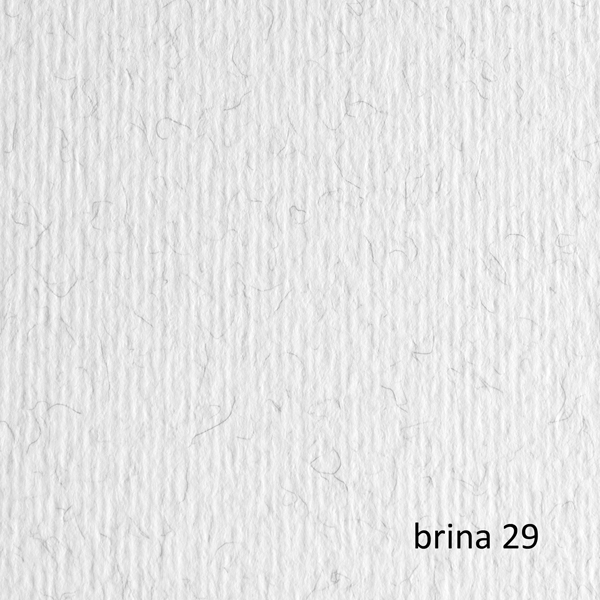 CARTONCINO 70X100 220GR BRINA 129 FABRIANO ELLE ERRE - BLISTER 10FG