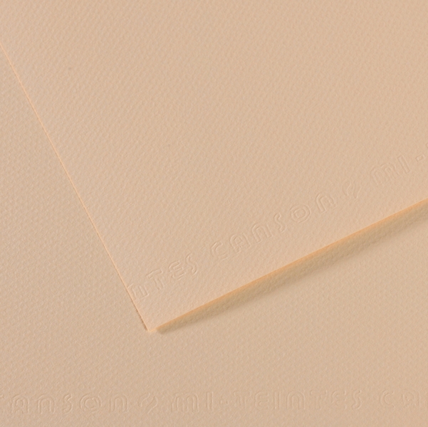 Foglio MI-TEINTES A4 cm 160 gr. 112 conchiglia