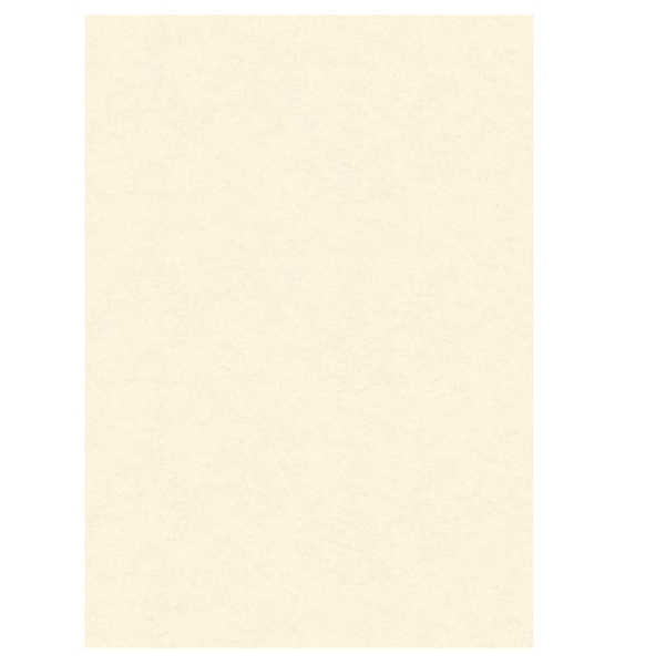 BLISTER 10 DIPLOMI PERGAMENA 210x297mm 160gr neutro avorio KARTOS