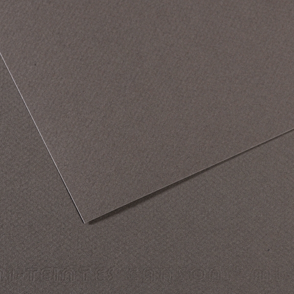 Foglio MI-TEINTES A4 cm 160 gr. 345 grigio ardesia