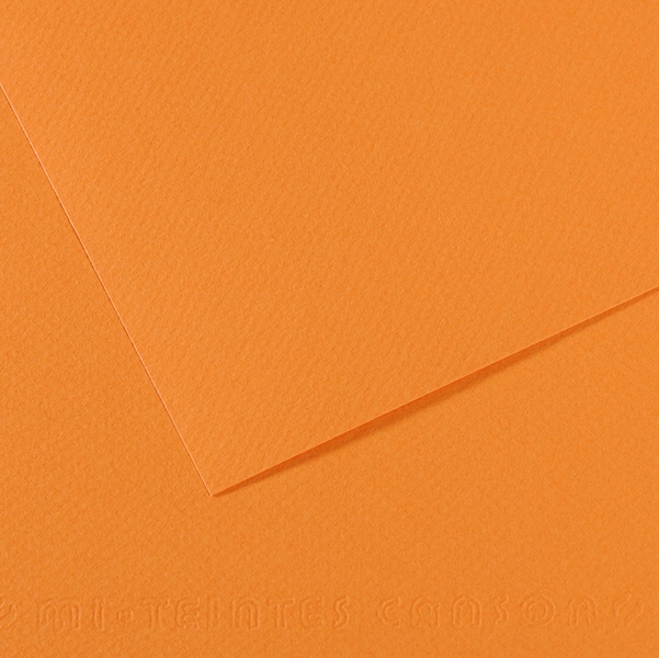 Foglio MI-TEINTES A4 cm 160 gr. 384 salmone
