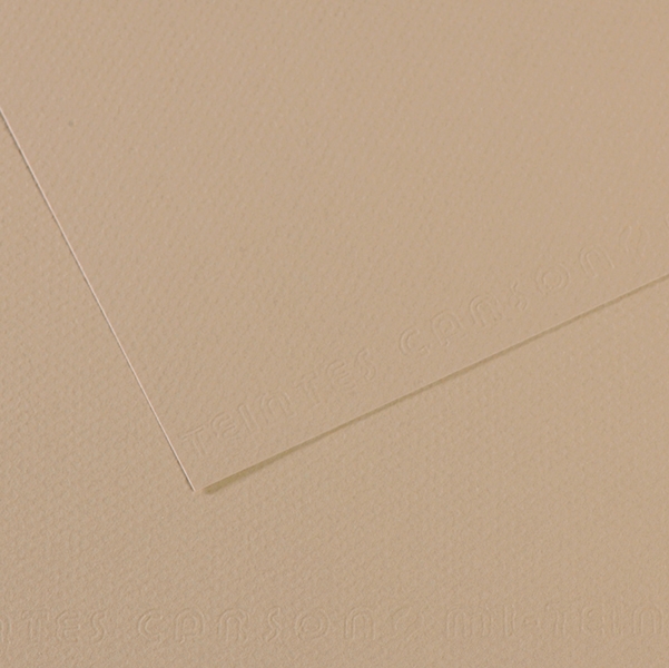 Foglio MI-TEINTES A4 cm 160 gr. 343 grigio trianon