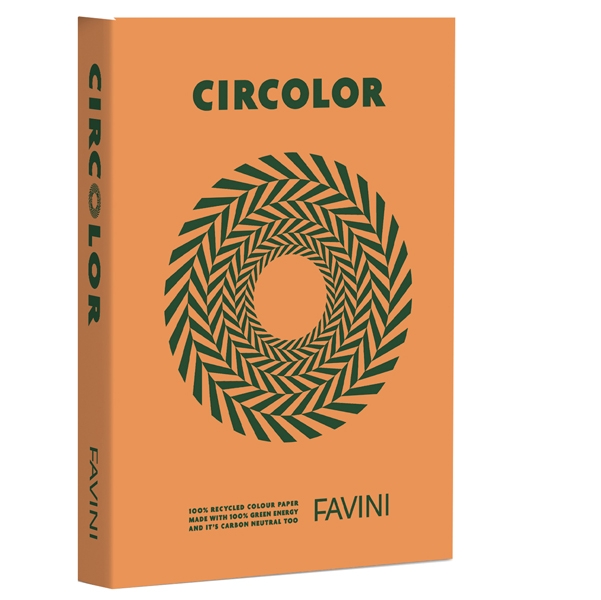 Carta Circolor A4 80gr 500fg Pumpkin H8 (arancio) FAVINI