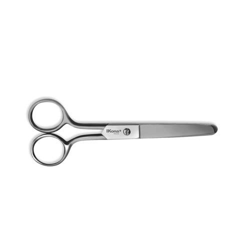 FORBICI INOX CM.12 (min.ord.12 o multipli)