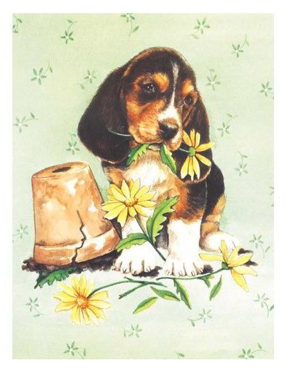 BUSTA DA 1 FG CARTA DECOUPAGE 3D - CANE - CONF.3 BS.