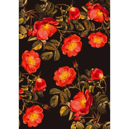CARTA DECOUPAGE A3 - CONF. 2 FG. - FIORI D'AUTORE F