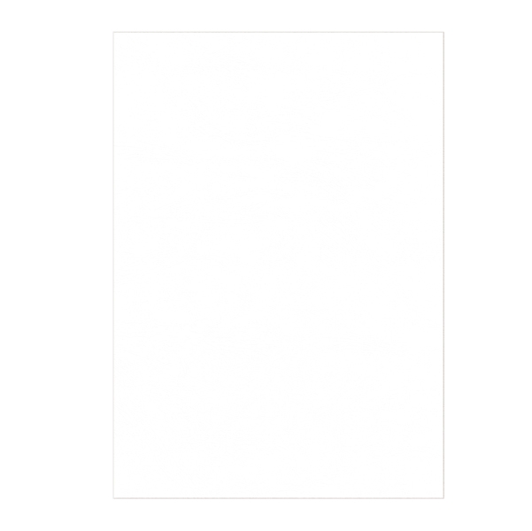 100 Copertine A4 cartoncino groffrato semilpelle 240g bianco Fellowes