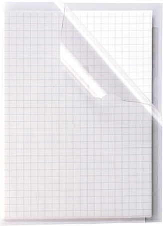 Busta "L" 22x30cm Trasparente BA Pz.50 tipo economica