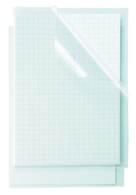 Busta "L" 21x29.7cm Trasparente Pz.25