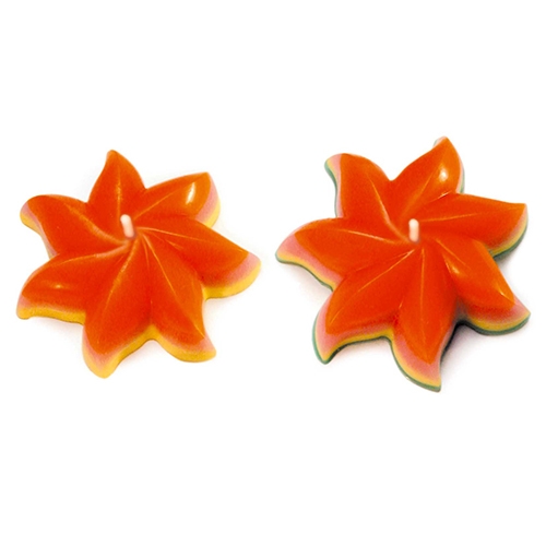 STAMPO PER CANDELE GALLEGGIANTI - SOLE 2 PZ.