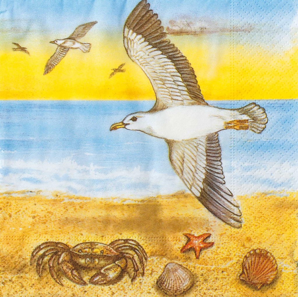 TOVAGLIOLI CM.33X33 - CONF.20 PZ. - GABBIANI/CONCHIGLIA