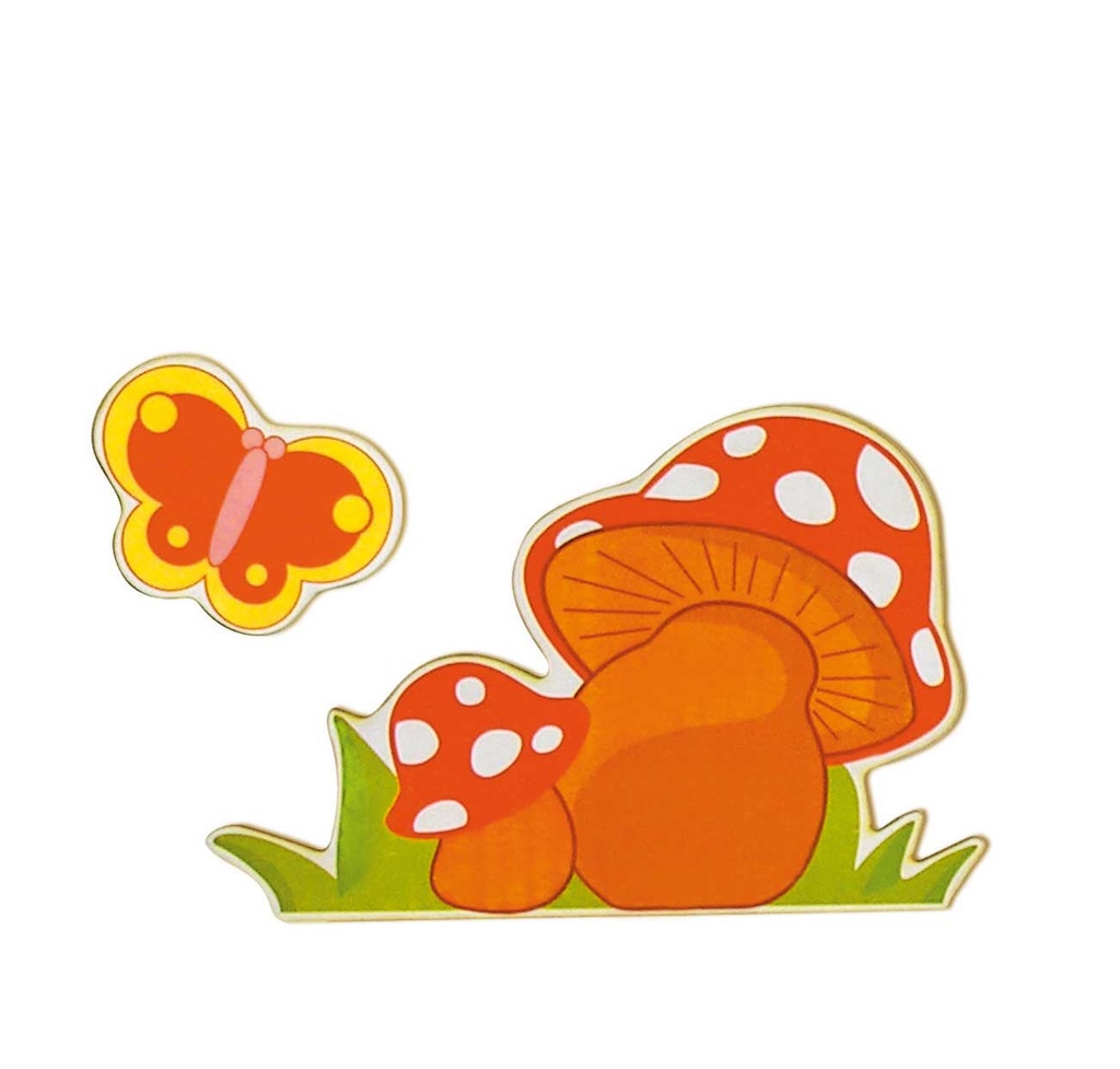 FUNGHI IN BETULLA CM.23X35