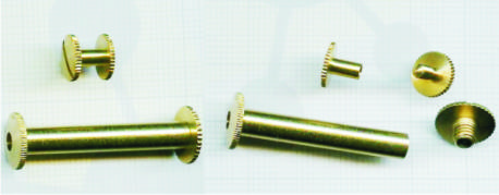 Viti Sepolte mm.30 Pz.10