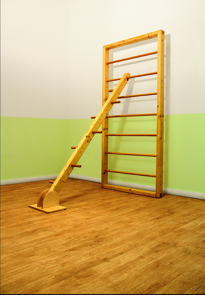 SCALA CON PIOLI CM.200