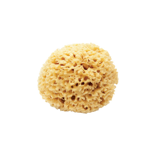 SPUGNA MARE DIAM. 4/5 CM. - BUSTA 3 PZ.