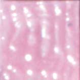 MOSAICO VENEZIANO - CONF.80 TESSERE - ROSA MEDIO (min.ord.3 o multipli)