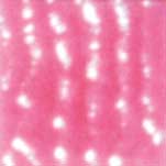 MOSAICO VENEZIANO - CONF.80 TESSERE - ROSA FORTE (min.ord.3 o multipli)