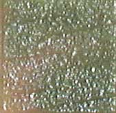 MOSAICO VENEZIANO - CONF.80 TESSERE - TRAVERTINO (min.ord.3 o multipli)