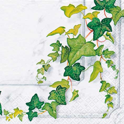 TOVAGLIOLI CM.33X33 - CONF.20 PZ. - EDERA