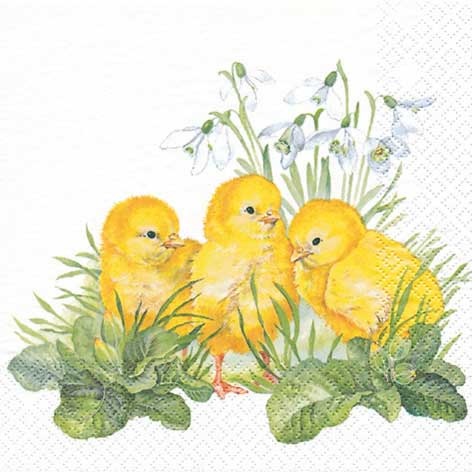 TOVAGLIOLI CM.33X33 - CONF.20 PZ. - PAPEROTTI