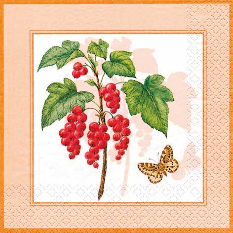 TOVAGLIOLI CM.33X33 - CONF.20 PZ. - RIBES