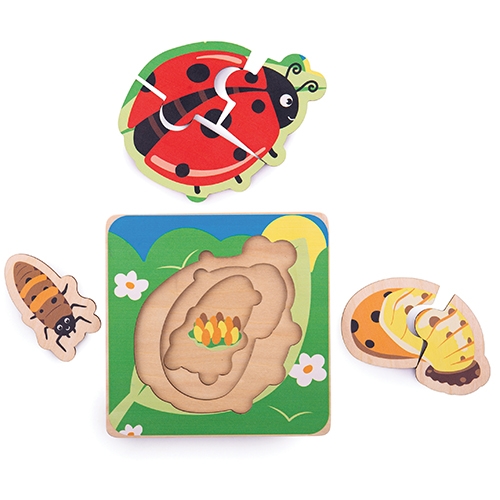 PUZZLE A STRATI CICLO VITALE -COCCINELLA