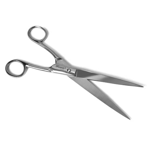 FORBICI INOX CM.20,5 (min.ord.12 o multipli)