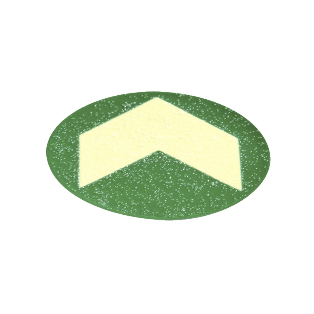 Bollo con freccia fotoluminescente adesiva D60mm colore giallo verde