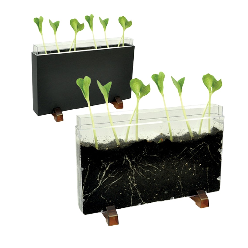 Contenitore Esplora il sottosuolo dim. 30x19x4cm Cwr