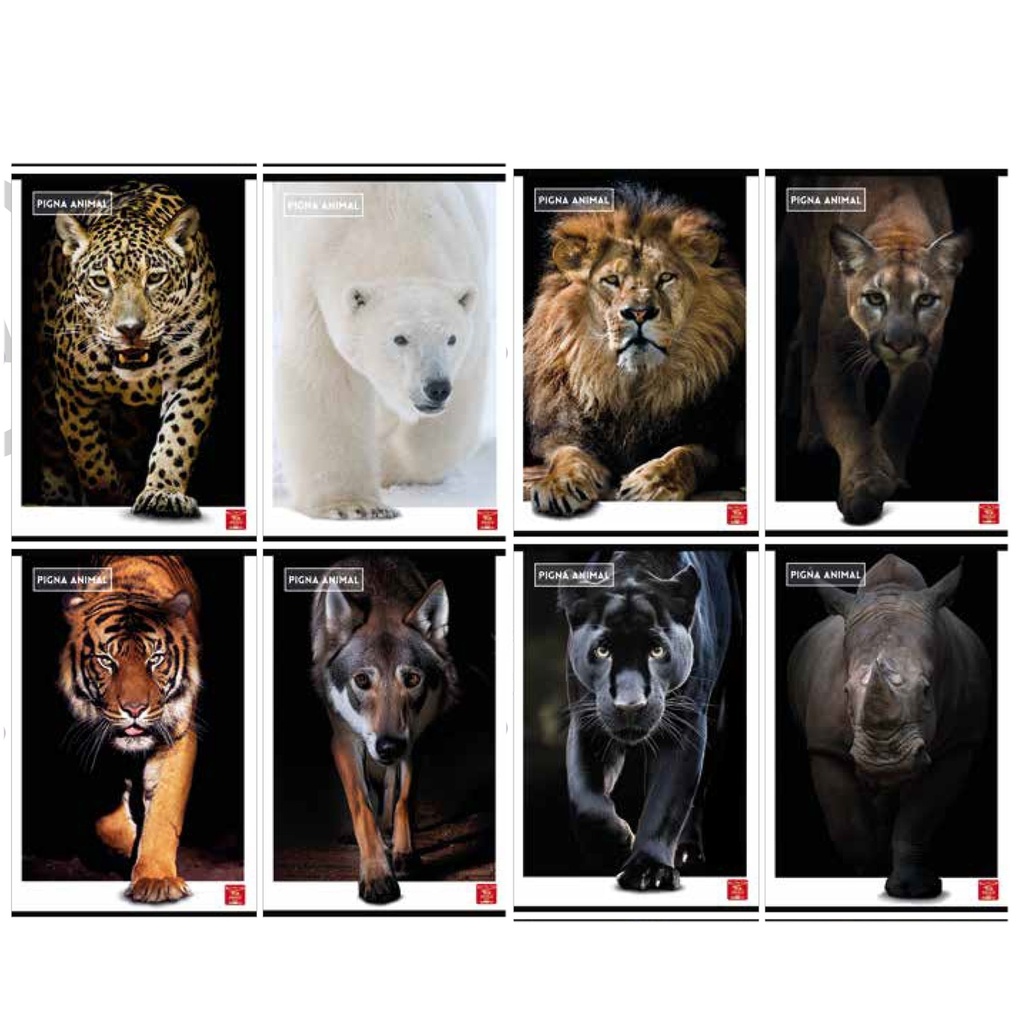 Maxiquaderno A4 80gr 40+2fg 4mm c/margine Animal Pigna