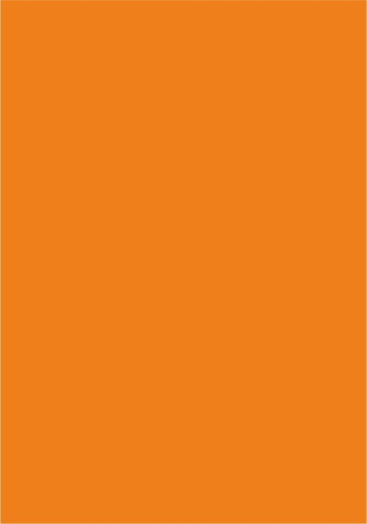 CARTONCINO LISCIO/RUVIDO 70x100 220gr/mq  ARANCIO (singolo)