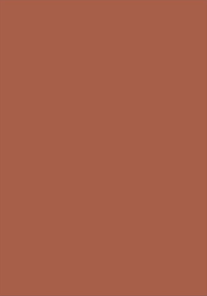 CARTONCINO LISCIO/RUVIDO 70x100 220gr/mq  MARRONE (singolo)