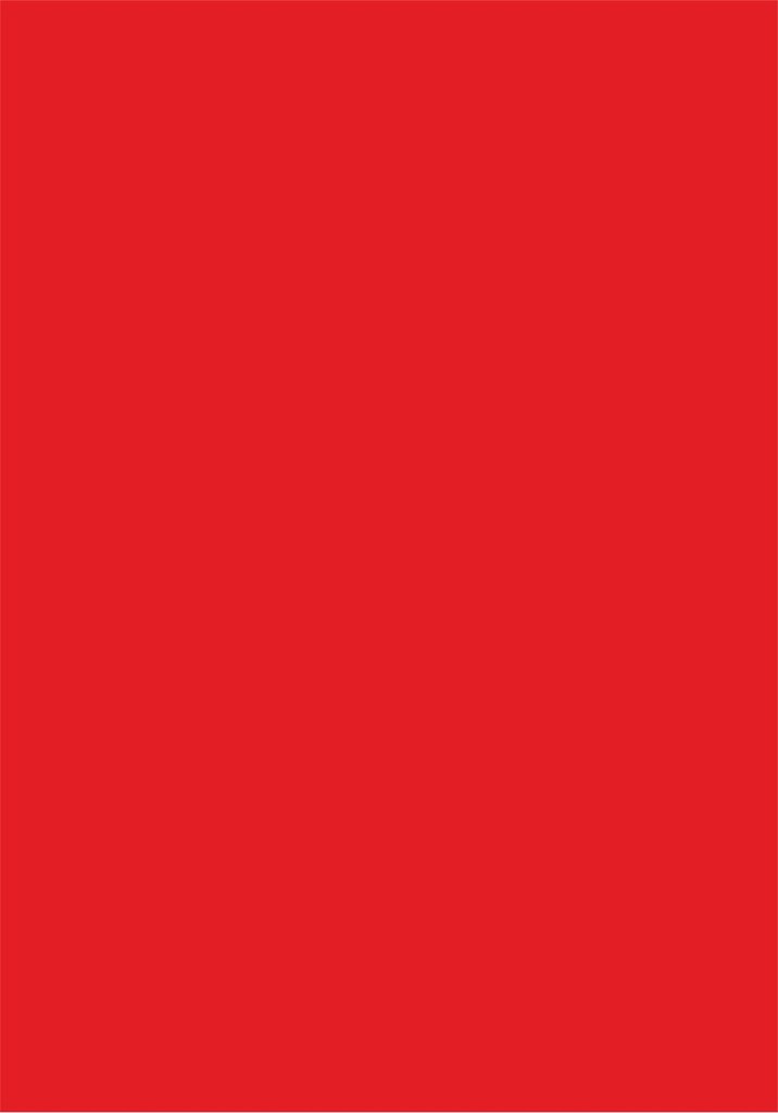 CARTONCINO LISCIO/RUVIDO 70x100 220gr/mq ROSSO (singolo)