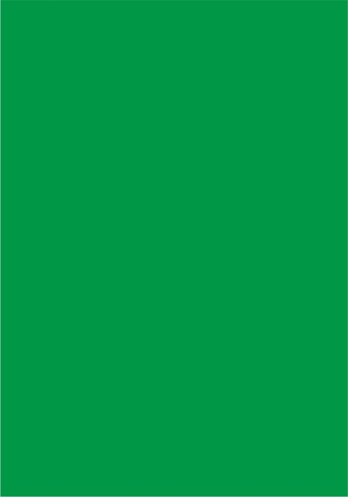 CARTONCINO LISCIO/RUVIDO 50x70 220gr/mq PISTACCHIO (singolo)