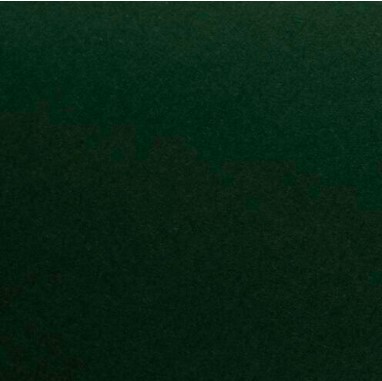 CARTONCINO LISCIO/RUVIDO 50x70 220gr/mq VERDE PINO (singolo)