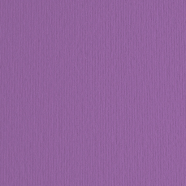 BLISTER 10FG CARTONCINO 70X100 220GR VIOLA 104 FABRIANO ELLE ERRE