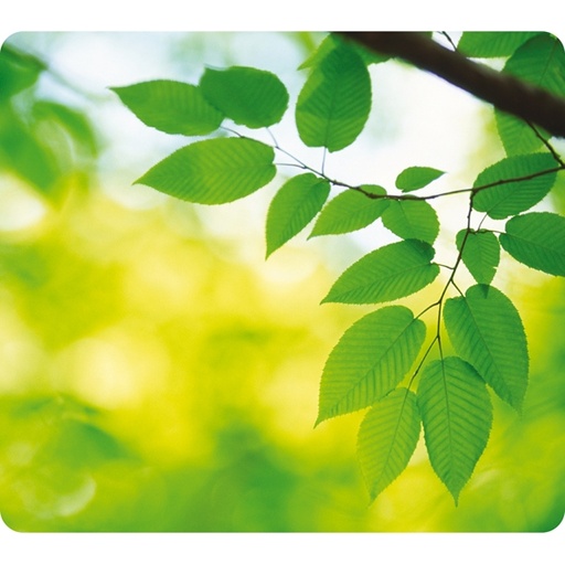 [D72217] MOUSEPAD FOGLIE ecologici Earth Series™ Fellowes