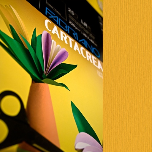 [D82582] Blister 10fg cartoncino 35x50cm 220gr avana Cartacrea Fabriano