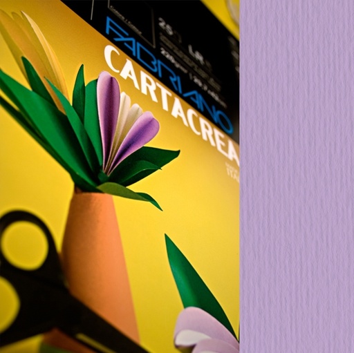 [D82586] Blister 10fg cartoncino 35x50cm 220gr violetta Cartacrea Fabriano