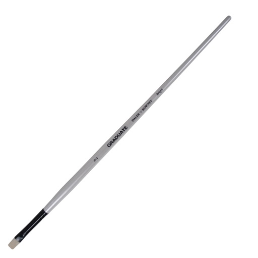 [D85397] Pennello setola naturale Graduate piatto corto n.2 manico lungo Daler Rowney
