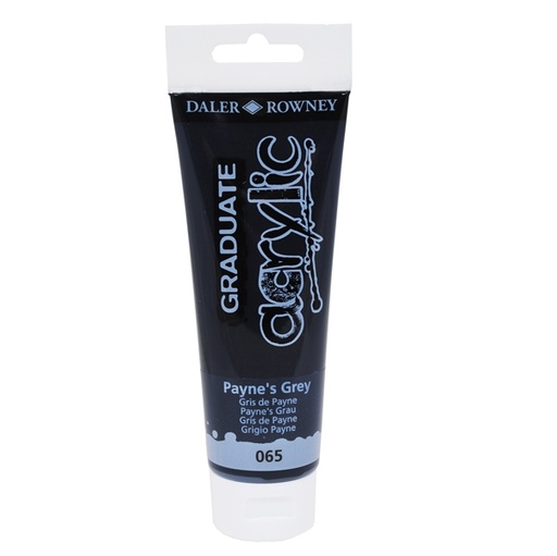 [D85489] Colore acrilico fine Graduate tubo 120 ml grigio di Payne Daler Rowney